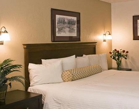 The At Baechtel Creek Hotel